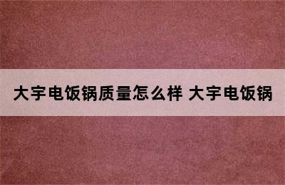 大宇电饭锅质量怎么样 大宇电饭锅